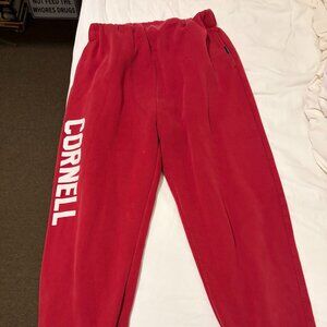 Cornell University Hype and Vice Sweatpants
